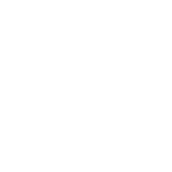 Telesentinel